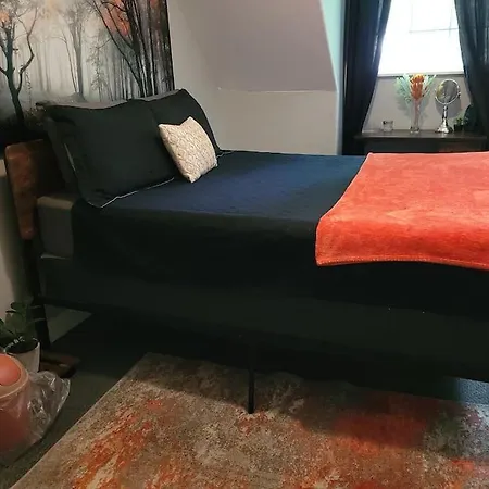 Cozy Delightful Private Studio Near Rhodes College, Shuttle, & Vehicle Rental Memphis Extérieur photo